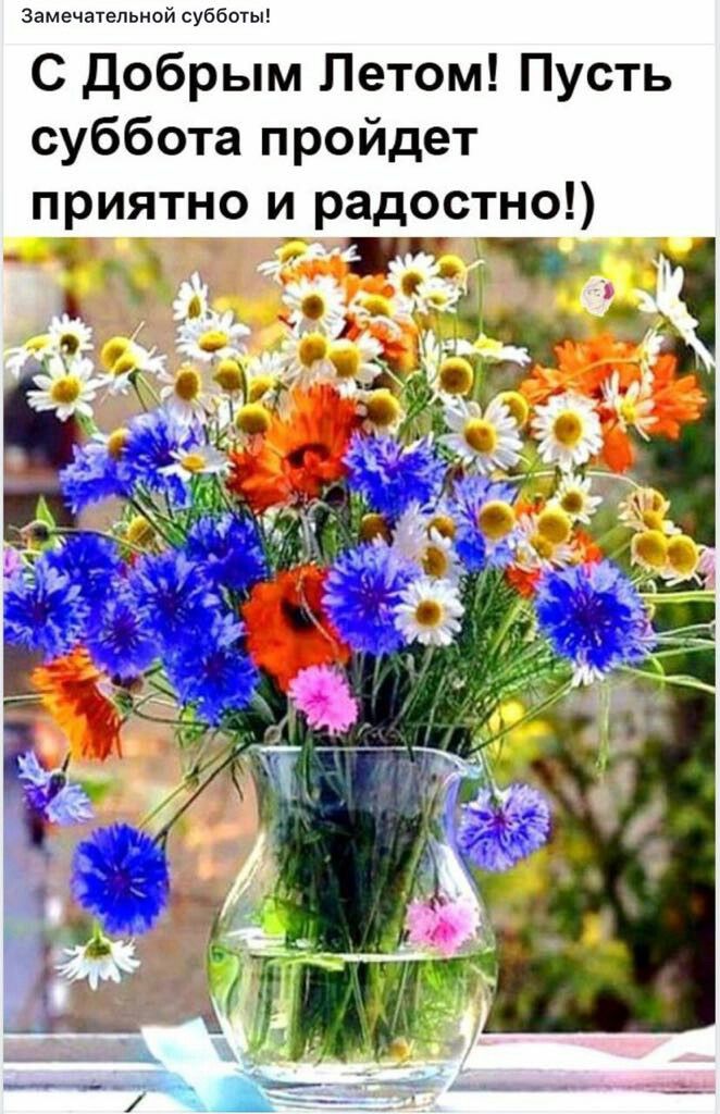 Интересные открытки на субботу. Веселые открытки на выходные.