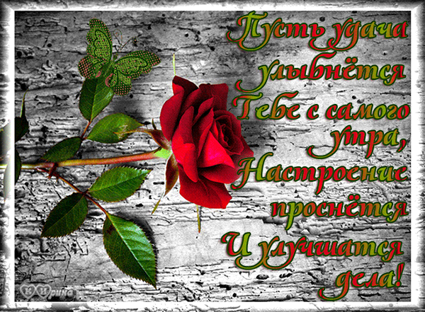 Открытки желаю удачи скачать бесплатно. Красивые открытки с пожеланиями удачи.