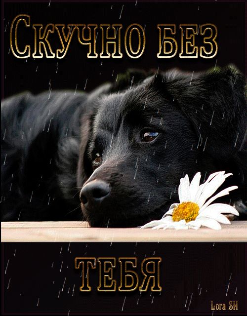 Анимационные открытки скучаю по тебе. Открытки я так скучаю скачать бесплатно.