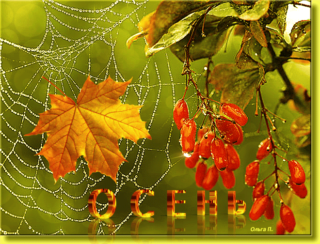 Оригинальные открытки с изображением осени. Открытки осень скачать бесплатно.