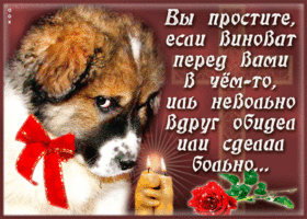 Красивые открытки с извинениями скачать бесплатно. Открытки прости меня gif.
