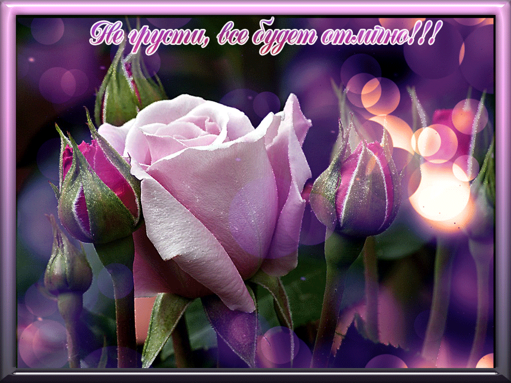 Мерцающие открытки с пожеланиями не грустить. Открытки не грусти скачать бесп...