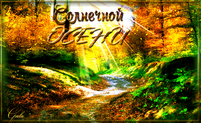 Оригинальные открытки с изображением осени. Открытки осень скачать бесплатно.