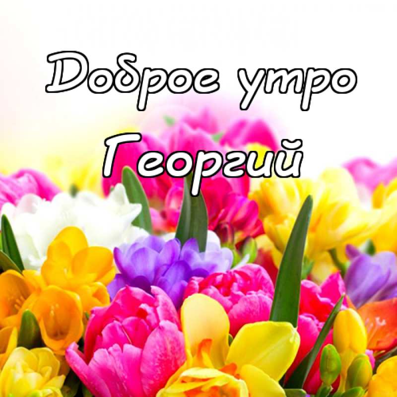 Анимационные открытки с именем Георгий. Скачать открытки с мужскими именами gif.