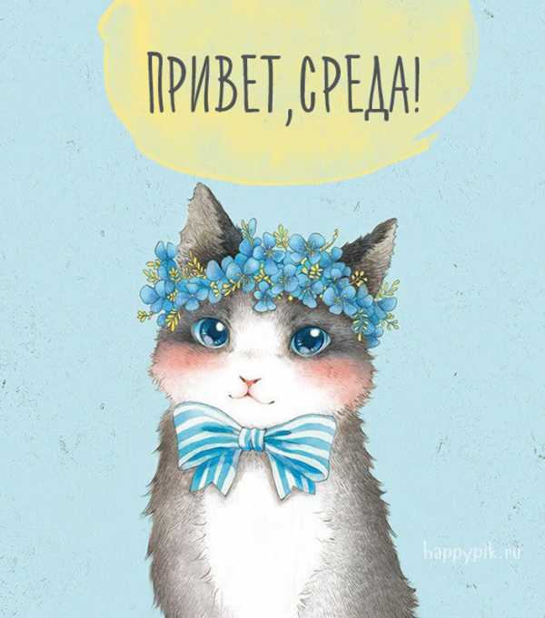 Открытки с пожеланиями отличной среды. Красивые открытки на среду.