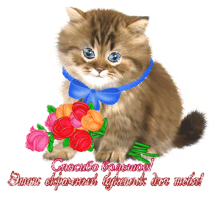 Анимационные открытки с благодарностью. Открытки спасибо скачать бесплатно.