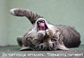 Открытки отличного четверга скачать бесплатно. Прикольные открытки на четверг...