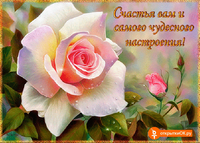 Скачать бесплатные открытки желаю счастья. Открытки желаю счастья с анимациями.