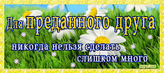 Красивые открытки для любимых друзей. Открытки о дружбе скачать бесплатно.