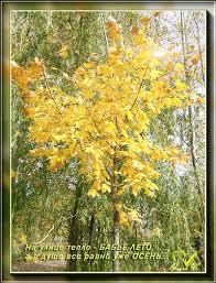 Поздравительные открытки с Бабьим Летом. Анимационные открытки на Бабье Лето. 