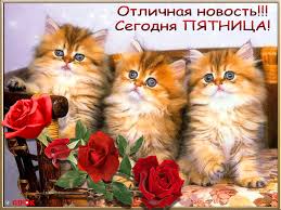 Прикольные открытки на пятницу. Открытки с пожеланиями на пятницу скачать бес...