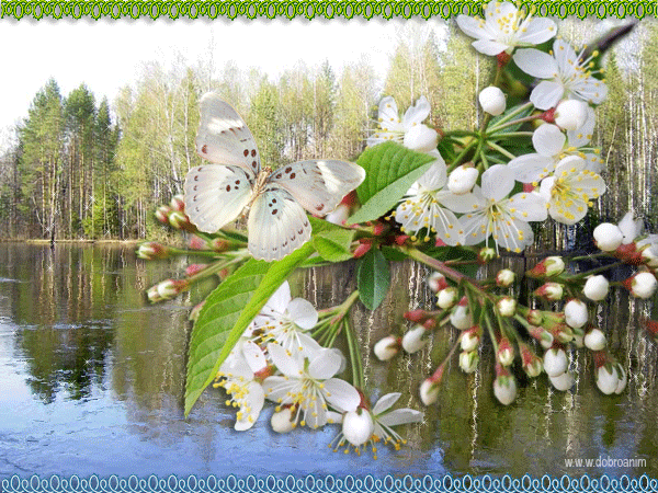 Красивые мерцающие открытки на весеннюю тематику. Скачать бесплатно открытки ...