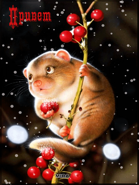 Красивые анимационные открытки с различными приветствиями скачать бесплатно.