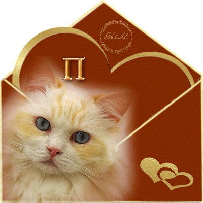 Красивые анимационные открытки с различными приветствиями скачать бесплатно.