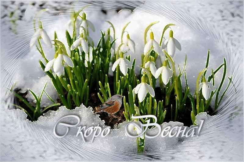 Красивые мерцающие открытки на весеннюю тематику. Скачать бесплатно открытки ...