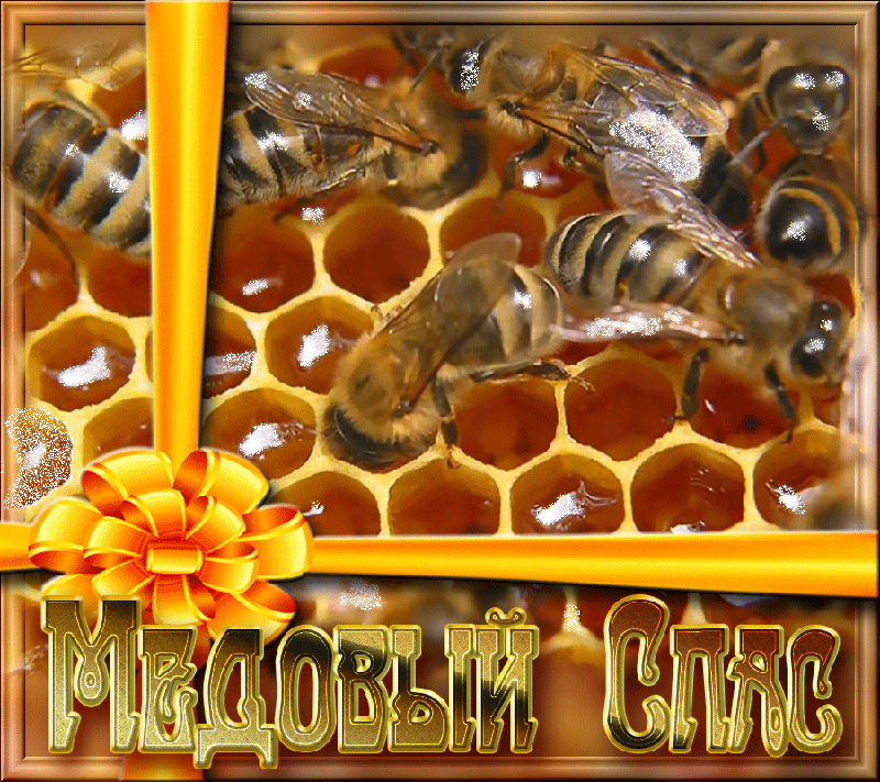 Открытки с медовым спасом скачать бесплатно. Праздничные открытки с медовым с...