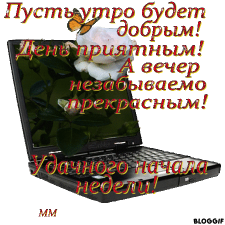 Забавные открытки с пожеланиями удачной недели. Открытки удачной недели скача...