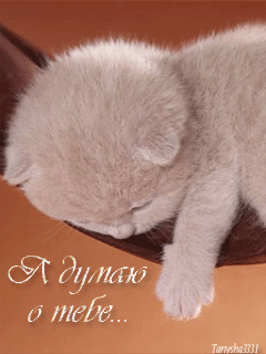 Анимационные открытки с признаниями. Открытки думаю о тебе gif.