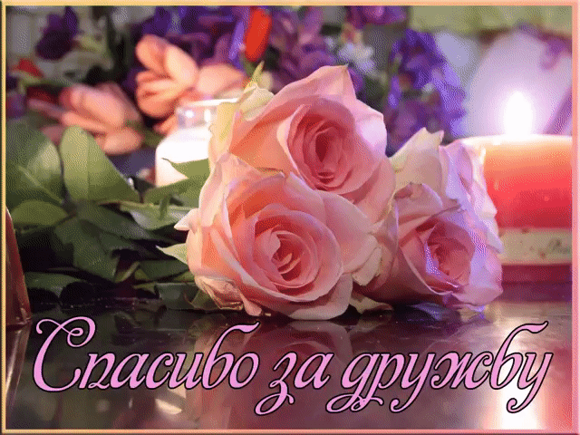 Красивые открытки для любимых друзей. Открытки о дружбе скачать бесплатно.