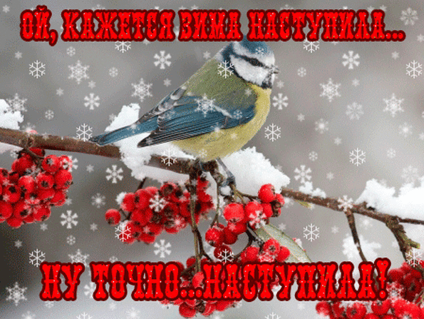 Мерцающие анимационные открытки с пожеланиями на первый день зимы