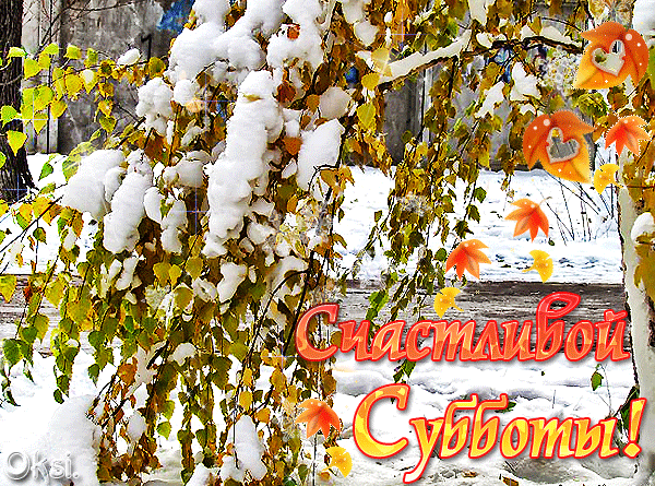 Интересные открытки на субботу. Веселые открытки на выходные. 