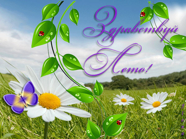 Открытки на тему лета скачать бесплатно. Анимационные открытки про лето.