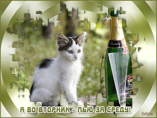 Позитивные открытки на вторник. Картинки про вторник скачать бесплатно.