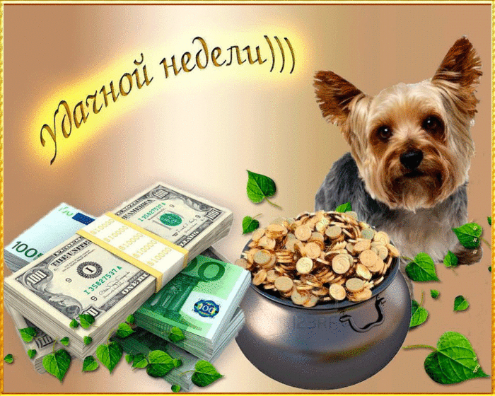 Забавные открытки с пожеланиями удачной недели. Открытки удачной недели скача...