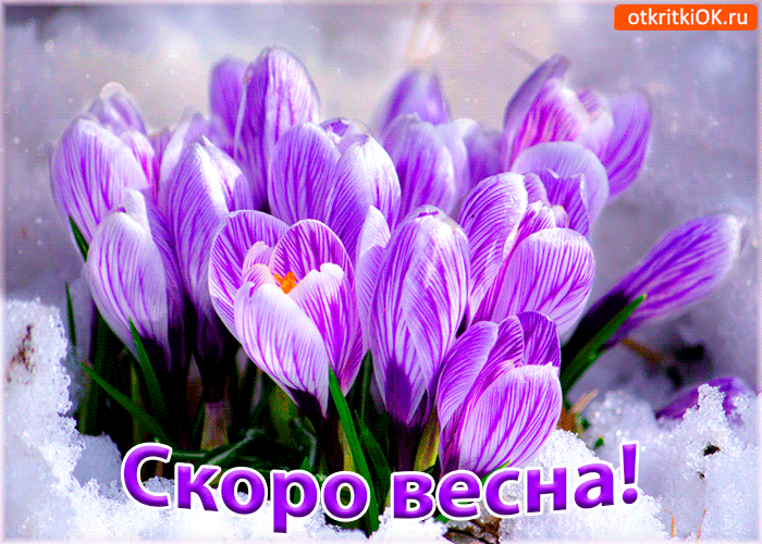 Красивые мерцающие открытки на весеннюю тематику. Скачать бесплатно открытки ...