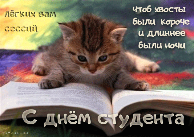 Анимационные открытки с днем студента с наилучшими пожеланиями скачать беспла...