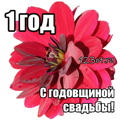 Открытки на Ситцевую свадьбу 1 год скачать бесплатно. Мерцающие открытки на с...