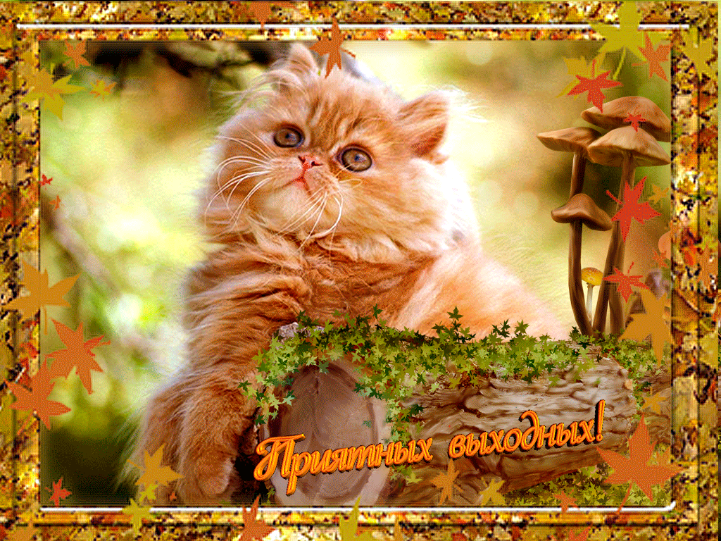 Красивые открытки замечательных выходных. Открытки хороших выходных скачать б...