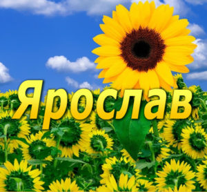 С днём рождения Ярослав открытки. Открытки с именем Ярик. Поздравительные отк...