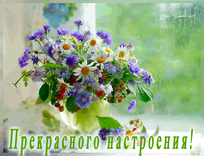 Позитивные открытки с пожеланиями хорошего настроения скачать бесплатно.