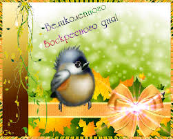 Открытки с пожеланиями хорошего дня. Скачать бесплатно открытки удачного дня.