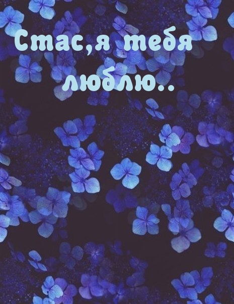 С днём рождения Станислав открытки. Открытки с именем Стас скачать бесплатно.