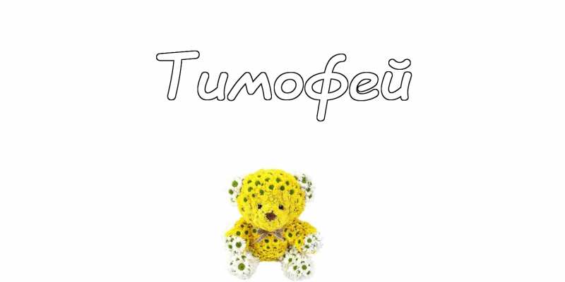 Анимационные открытки с именем Тимофей. Открытки с мужскими именами с поздрав...