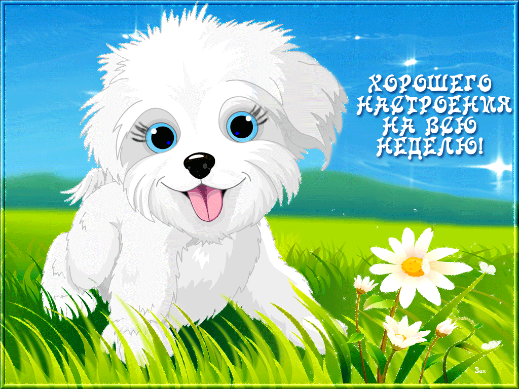 Забавные открытки с пожеланиями удачной недели. Открытки удачной недели скача...