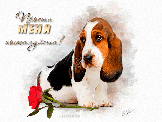 Красивые открытки с извинениями скачать бесплатно. Открытки прости меня gif.