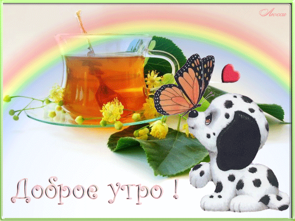 Мерцающие открытки с бабочками. Открытки с красивыми бабочками скачать беспла...