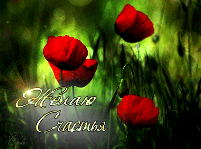 Скачать бесплатно открытки с пожеланиями счастья. Мерцающие открытки желаю сч...