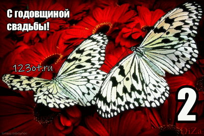 Анимационные поздравления на на Бумажную свадьбу 2 года. Поздравительные карт...