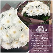 Открытки с пожеланиями отличной среды. Красивые открытки на среду.