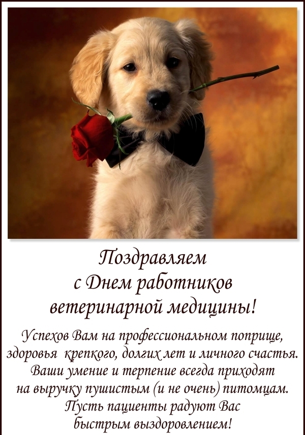 Поздравительные открытки с днем ветеринара скачать бесплатно.
