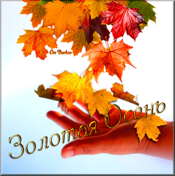 Чудесные открытки на тему Золотая Осень скачать бесплатно gif.
