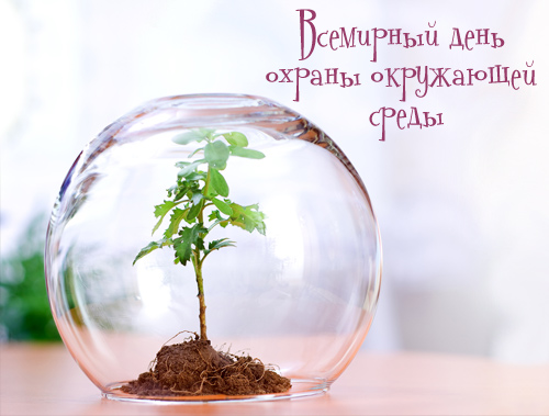 Открытки с днем эколога скачать бесплатно. Открытки на Всемирный день защиты ...