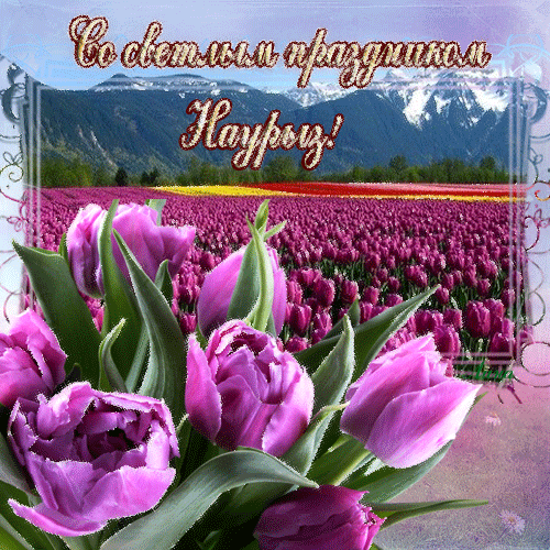 Открытки на Наурыз скачать бесплатно. Поздравительные открытки с Наурызом.