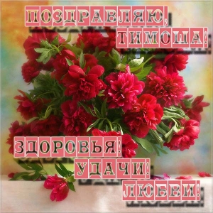 Анимационные открытки с именем Тимофей. Открытки с мужскими именами с поздрав...