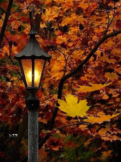 Оригинальные открытки с изображением осени. Открытки осень скачать бесплатно.