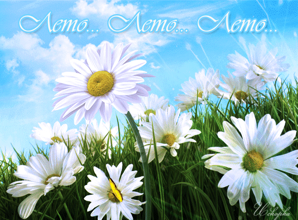 Открытки на тему лета скачать бесплатно. Анимационные открытки про лето.